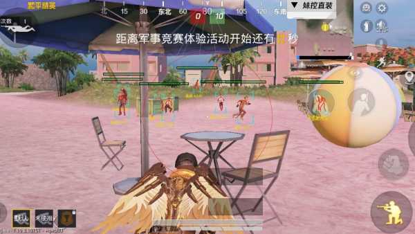 和平精英模拟器《ACE》内部辅助上架