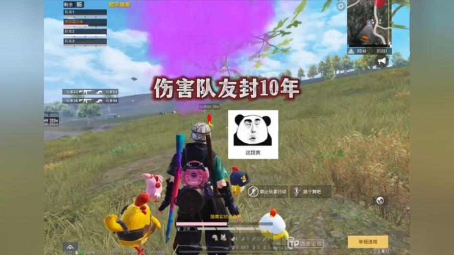探索和平精英辅助对游戏公平性的挑战